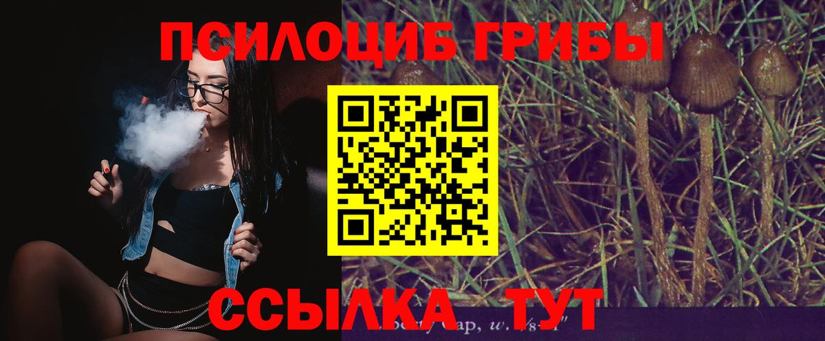 Псилоцибиновые грибы мухоморы Гурьевск